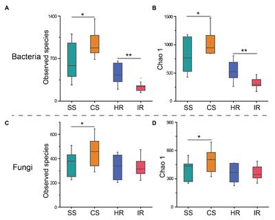 Exploring Biocontrol Agents From Microbial Keystone Taxa Associated to Suppressive Soil: A New Attempt for a Biocontrol Strategy